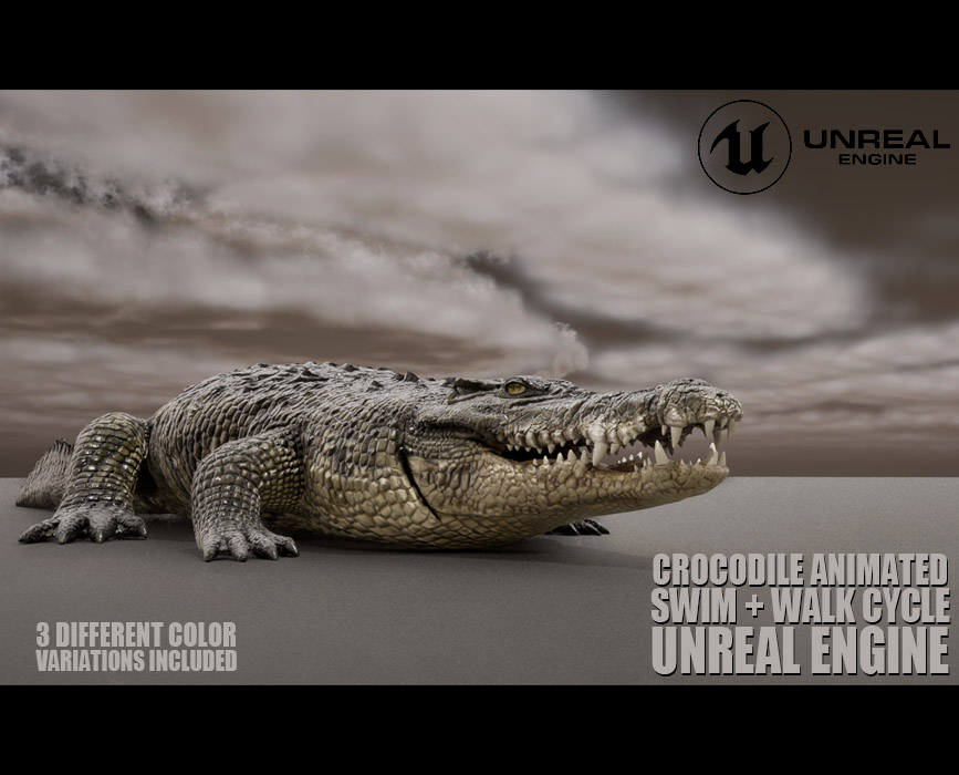 Crocodile Animated Online | Buy 3D Models Online