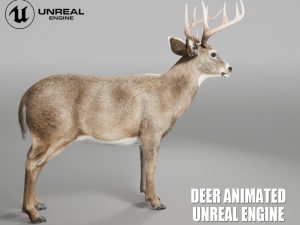 Deer 3D models online |Buy 3D Models Online
