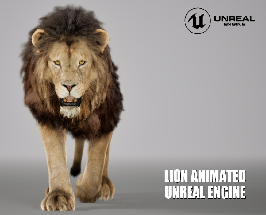 Lion animated online | Buy 3D Models Online