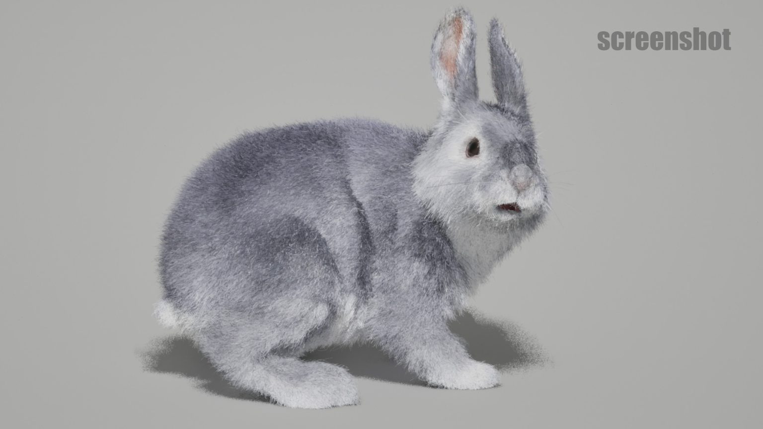Colorable Rabbit Rig For Maya Rabbits Animated Online | Buy 3D Models Online
