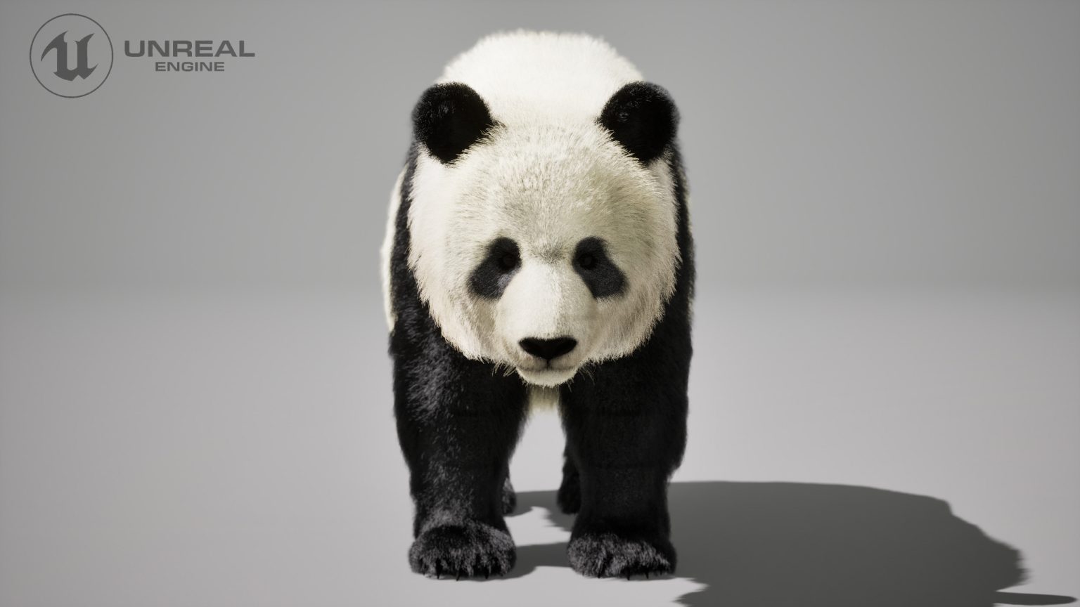 Panda Animated Online | Buy 3D Models Online