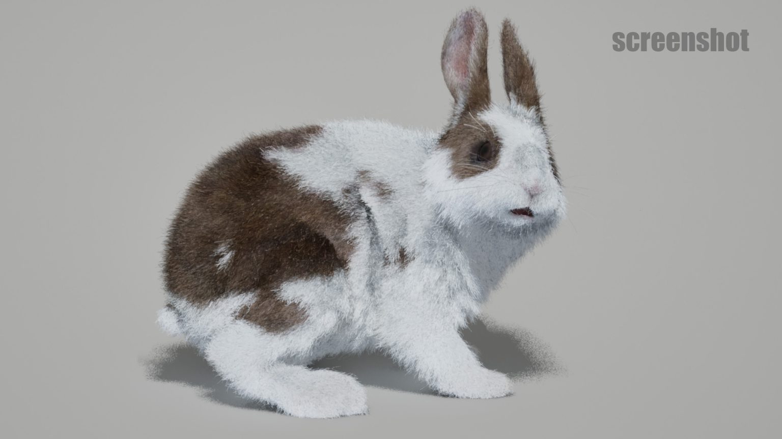 Colorable Rabbit Rig For Maya Rabbits Animated Online | Buy 3D Models Online