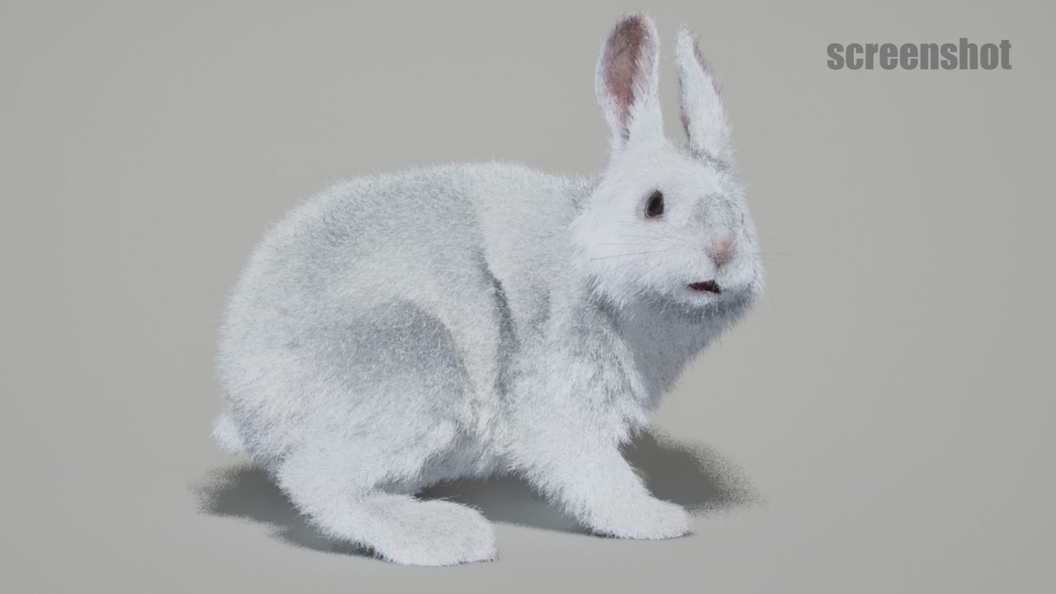 Colorable Rabbit Rig For Maya Rabbits Animated Online | Buy 3D Models Online