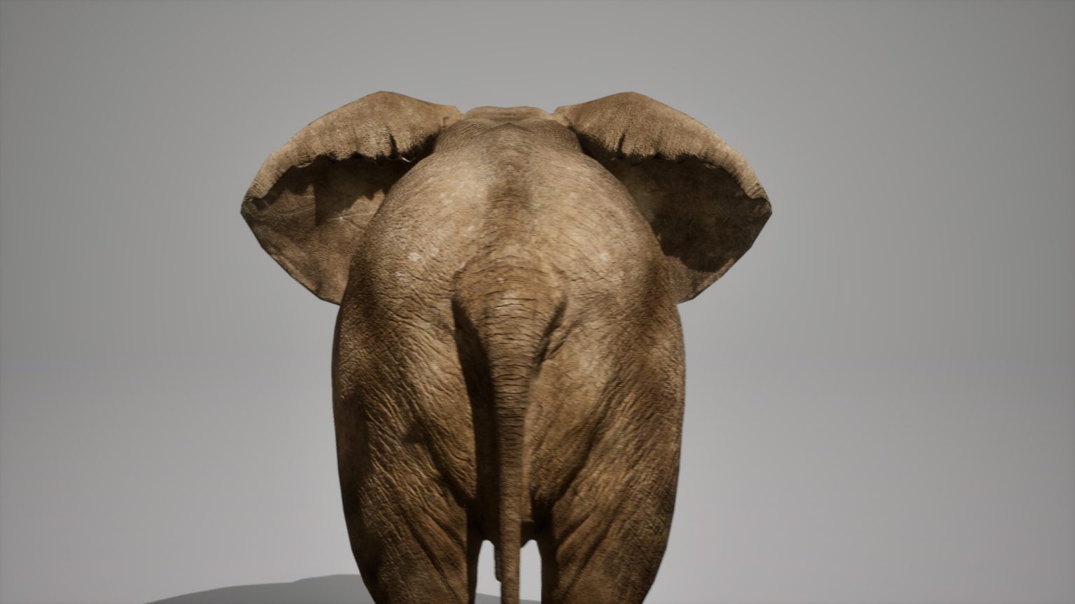 African Elephant Animated Online | Buy 3D Models Online
