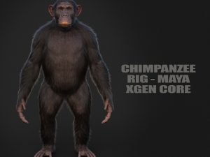 Chimpanzee 3D Models | Animal 3D Models