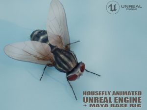 House Fly Animated Online | Buy 3D Models Online
