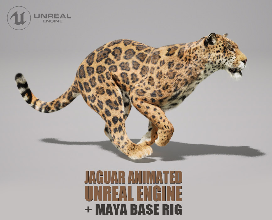 Jaguar Animated Online | Buy 3D Models Online