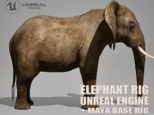 African Elephant Animated Online | Buy 3D Models Online