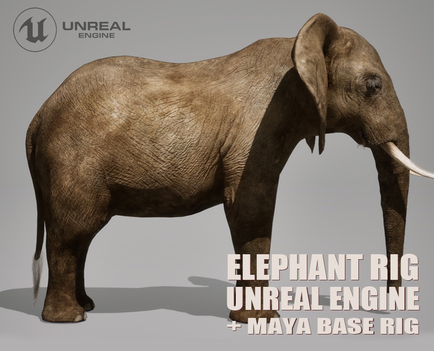 African Elephant Animated Online | Buy 3D Models Online