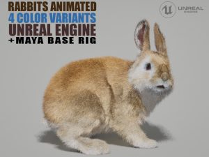 Rabbits 3D Models | Animal 3D Models