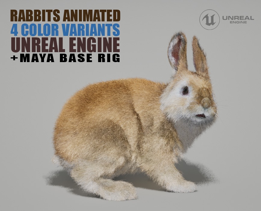 Rabbits 3D Models | Animal 3D Models
