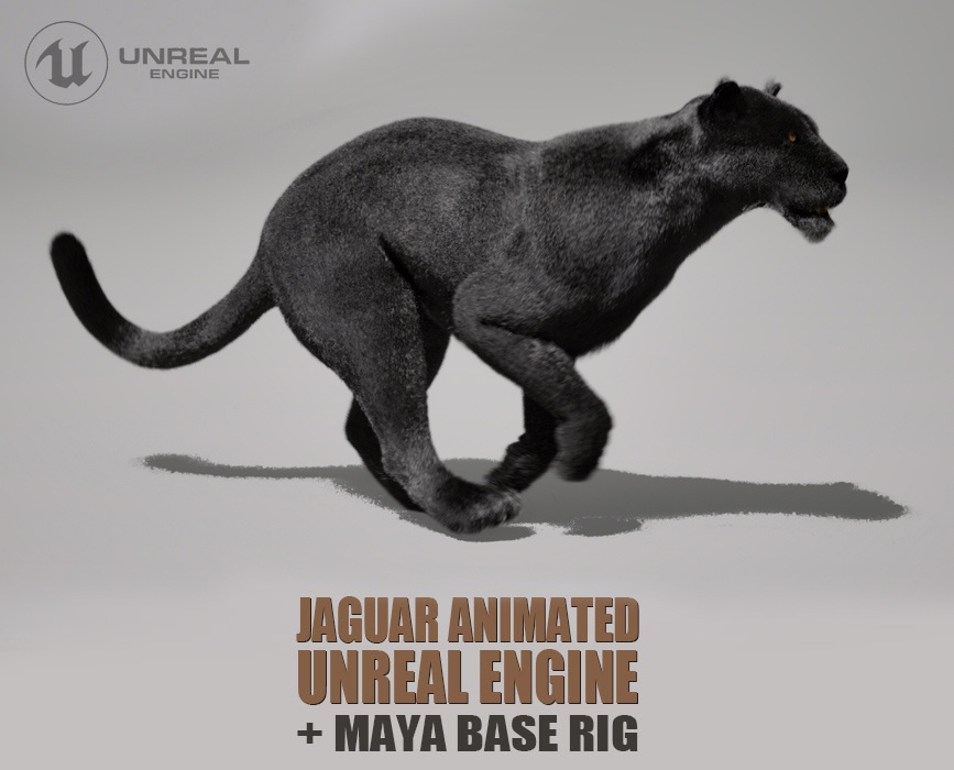 Black Jaguar Animated Online | Buy 3D Models Online