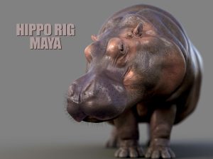 Hippopotamus 3D Models | Animal 3D Models