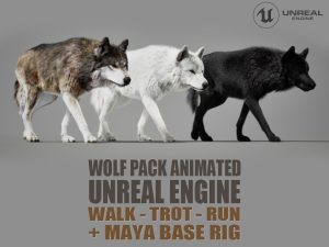 Wolf Pack Animated Online | Buy 3D Models Online