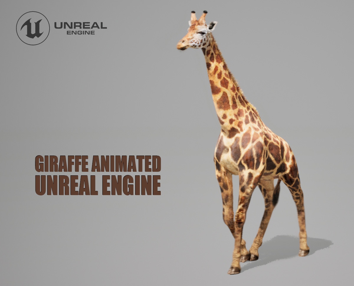 Giraffe Animated Online | Buy 3D Models Online