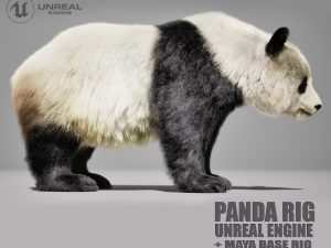 Panda 3D Models | Animal 3D Models
