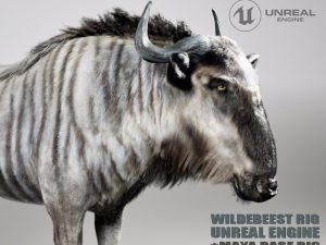 Wildebeest Animated Online | Buy 3D Models Online