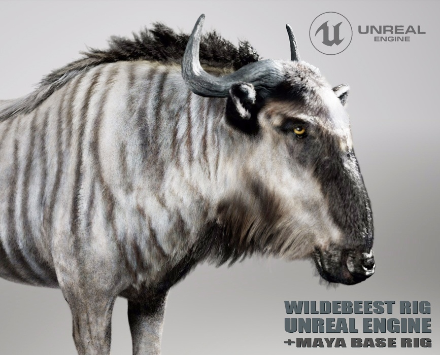 Wildebeest Animated Online | Buy 3D Models Online