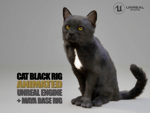 Cat Black 3D Models | Animal 3D Models