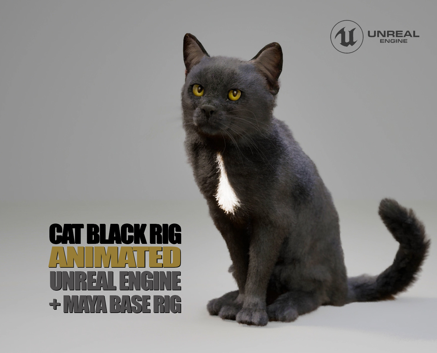 Cat Black 3D Models | Animal 3D Models
