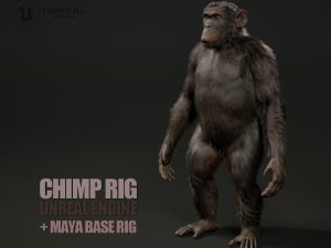 Chimp Rig 3D Models | Animal 3d Models