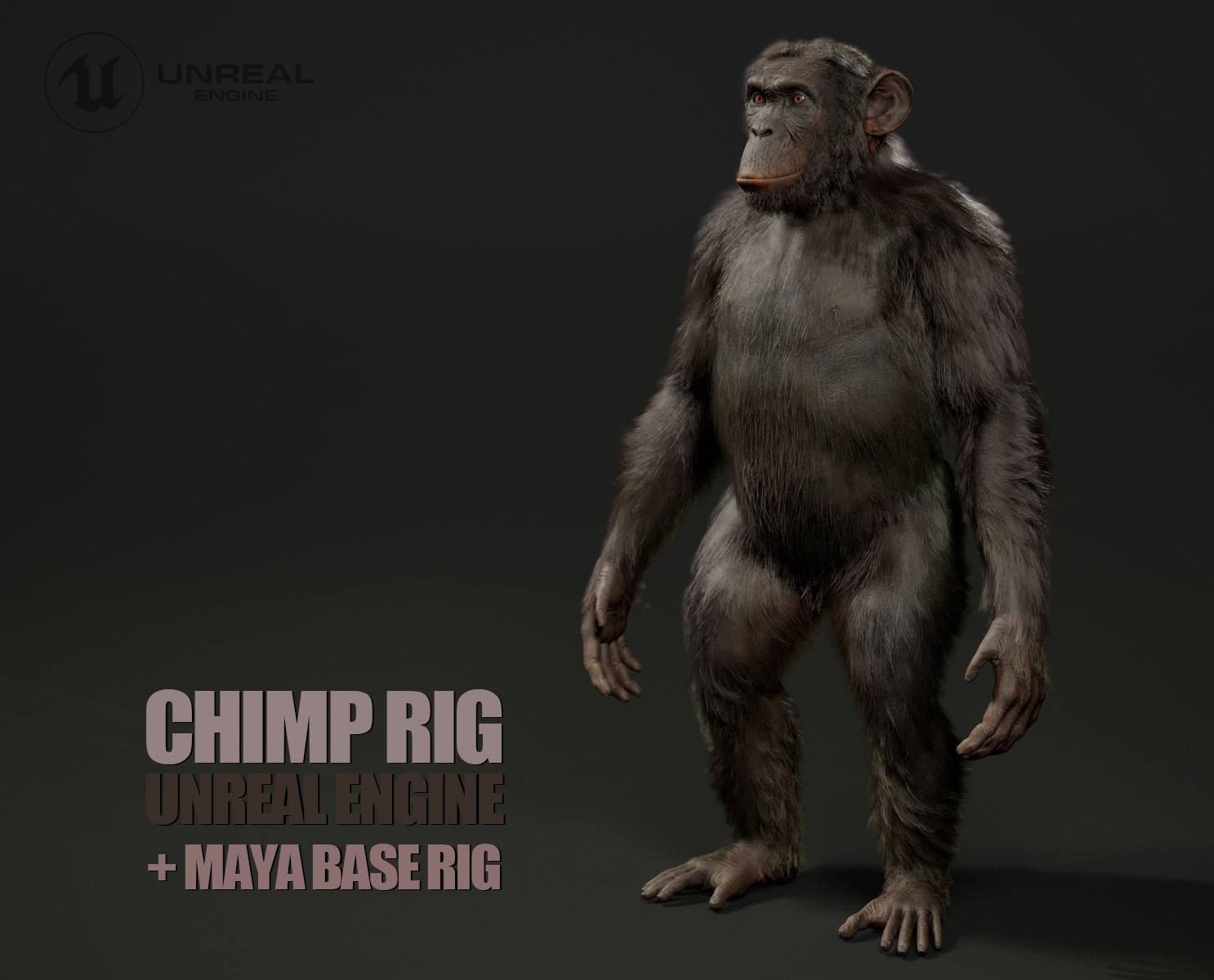 Chimp Rig 3D Models | Animal 3d Models