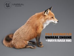 Fox 3D Models | Animal 3D Models