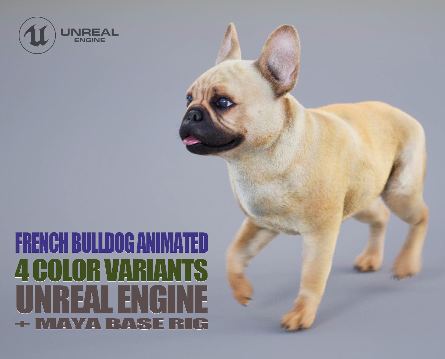 French Bulldog 3D Models | Animal 3d Models