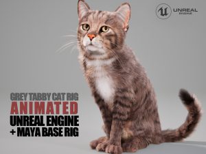 Cat Grey Tabby 3D Models | Animal 3d Models