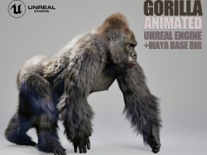 Gorilla 3D Models | Animal 3d Models