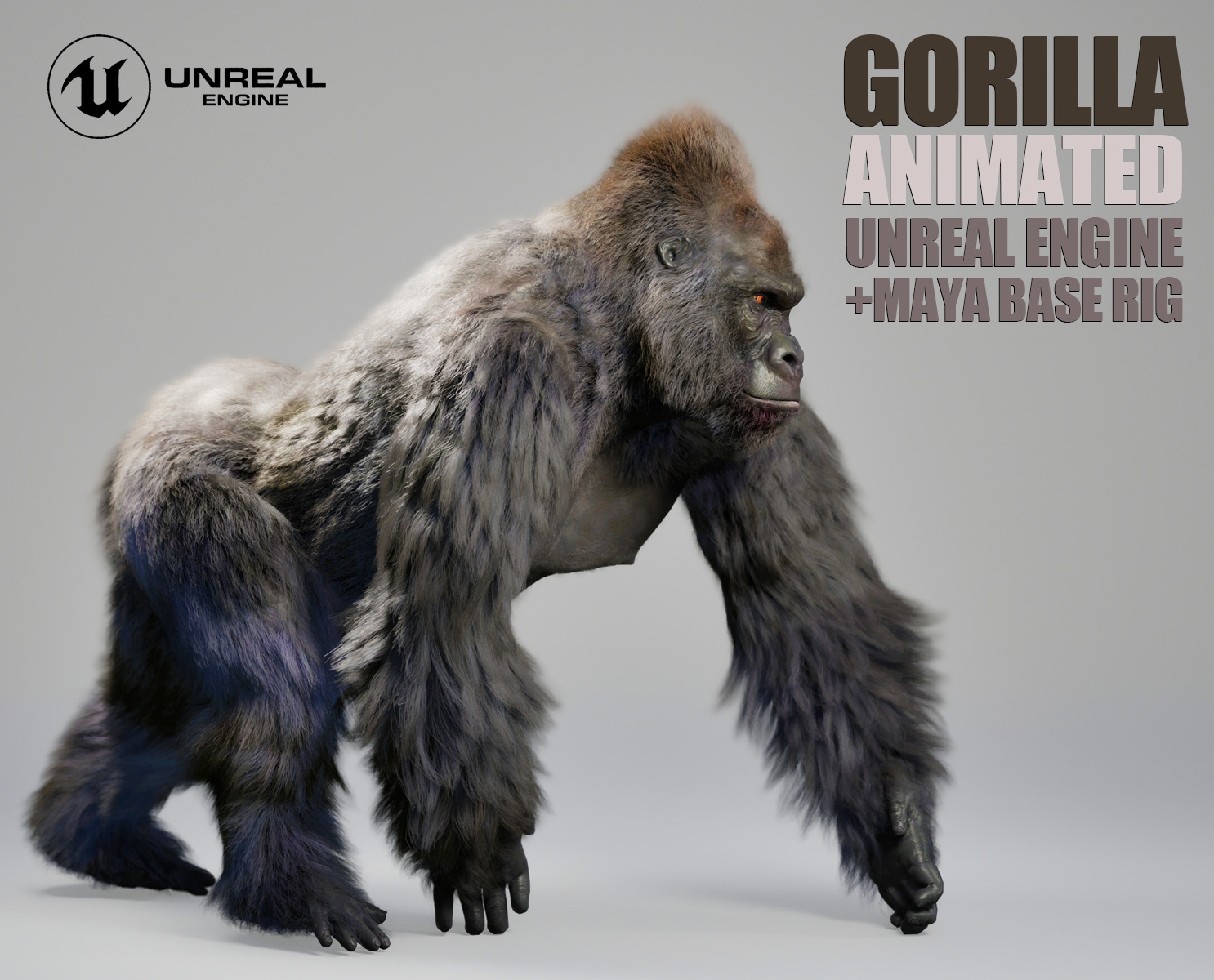 Gorilla 3D Models | Animal 3d Models
