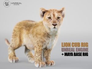 Lion Cub Rig 3D Models | Animal 3d Models