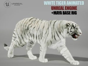 White Tiger 3D Models | Animal 3d Models