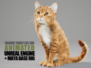 Cat Orange Tabby 3D Models | Animal 3d Models