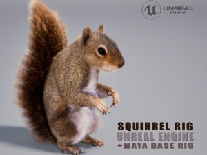 Squirrel 3D Models | Animal 3d Models