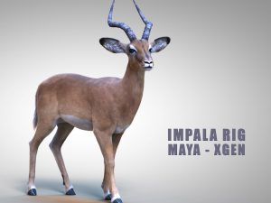 Impala 3D Models | Animal 3d Models