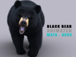 Black Bear 3D Models | Animal 3d Models