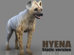 Hyena 3D Models | Animal 3d Models