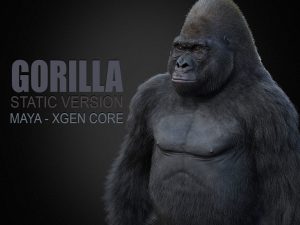 Gorilla 3D Models | Animal 3d Models