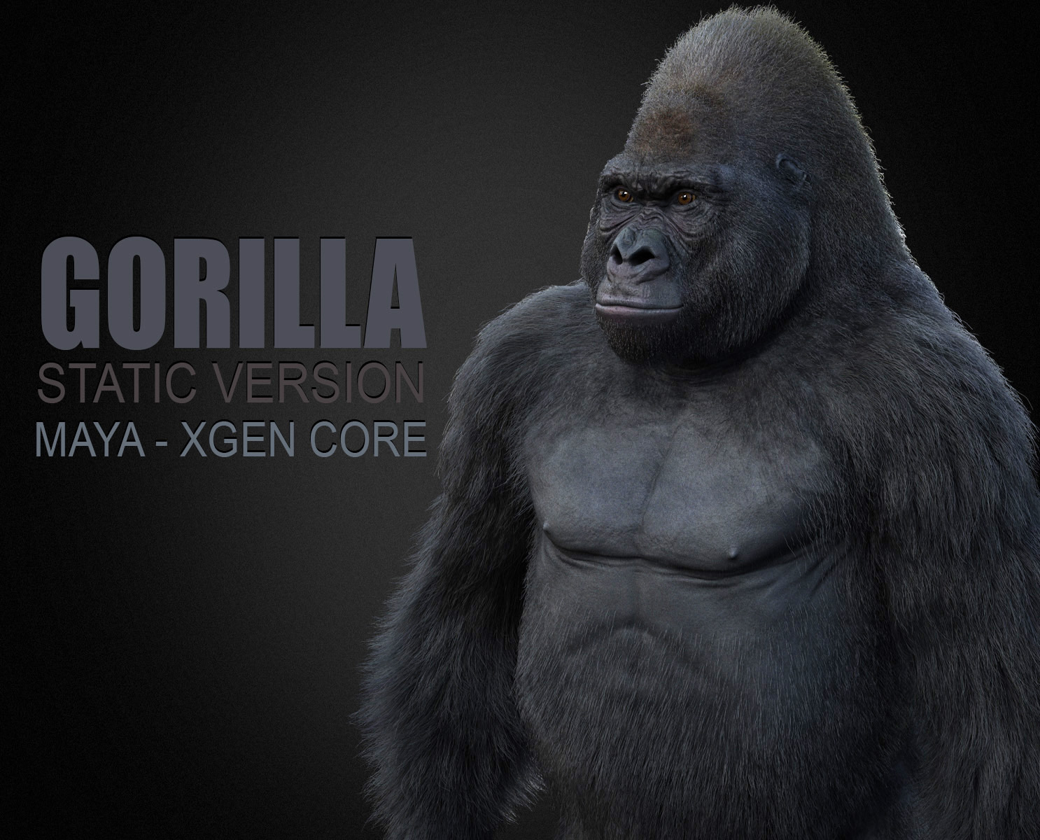 Gorilla 3D Models | Animal 3d Models