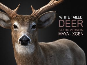 Deer 3D Models | Animal 3d Models