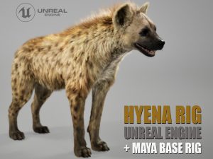 Hyena 3D Models | Animal 3d Models