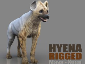 Hyena 3D Models | Animal 3d Models
