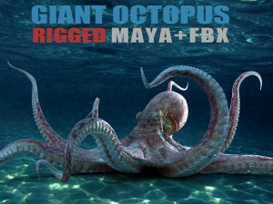 Giant Octopus RIG 3D Models | Animal 3d Models