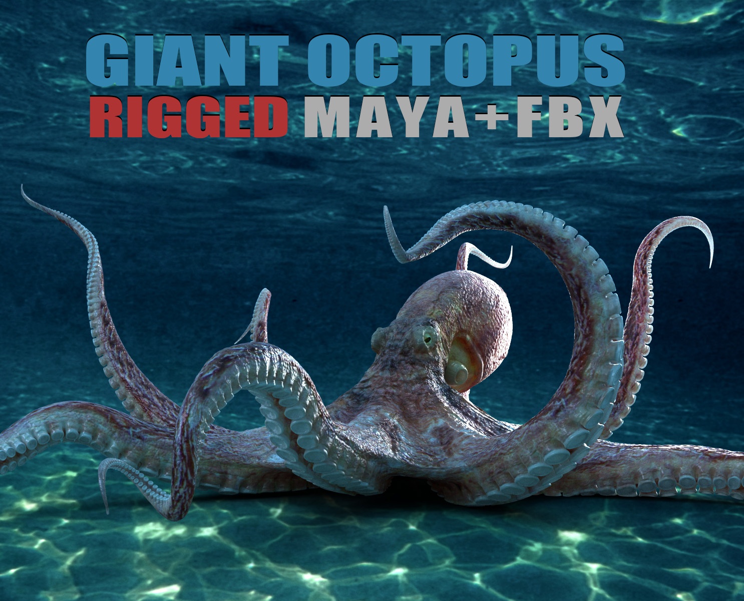 Giant Octopus RIG 3D Models | Animal 3d Models