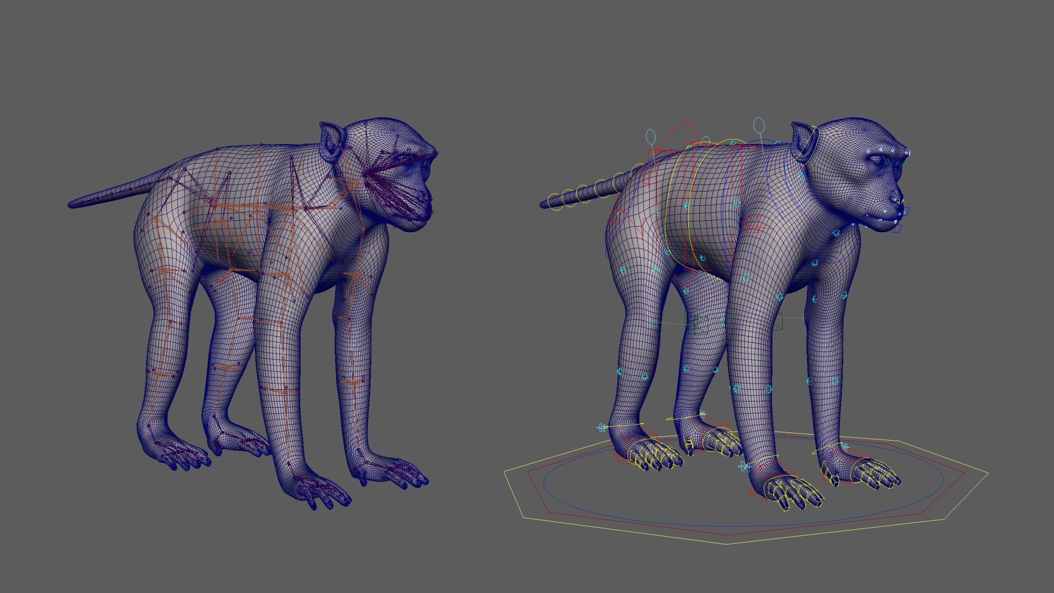 Monkey Rig Unity Rhesus Monkey 3D Models | Animal 3d Models