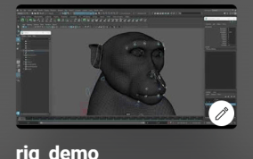 Massimo Righi - Youtube rig demo playlist