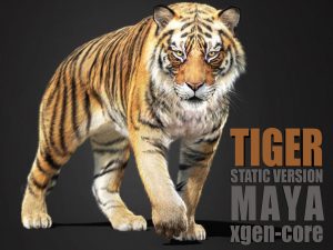 Tiger 3D Models | Animal 3d Models