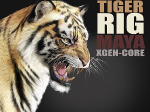 Tiger 3D Models | Animal 3d Models