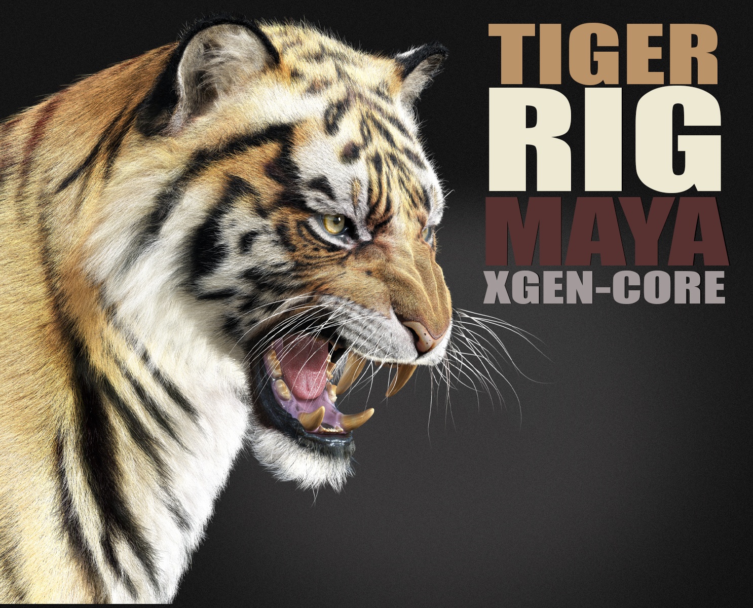 Tiger 3D Models | Animal 3d Models